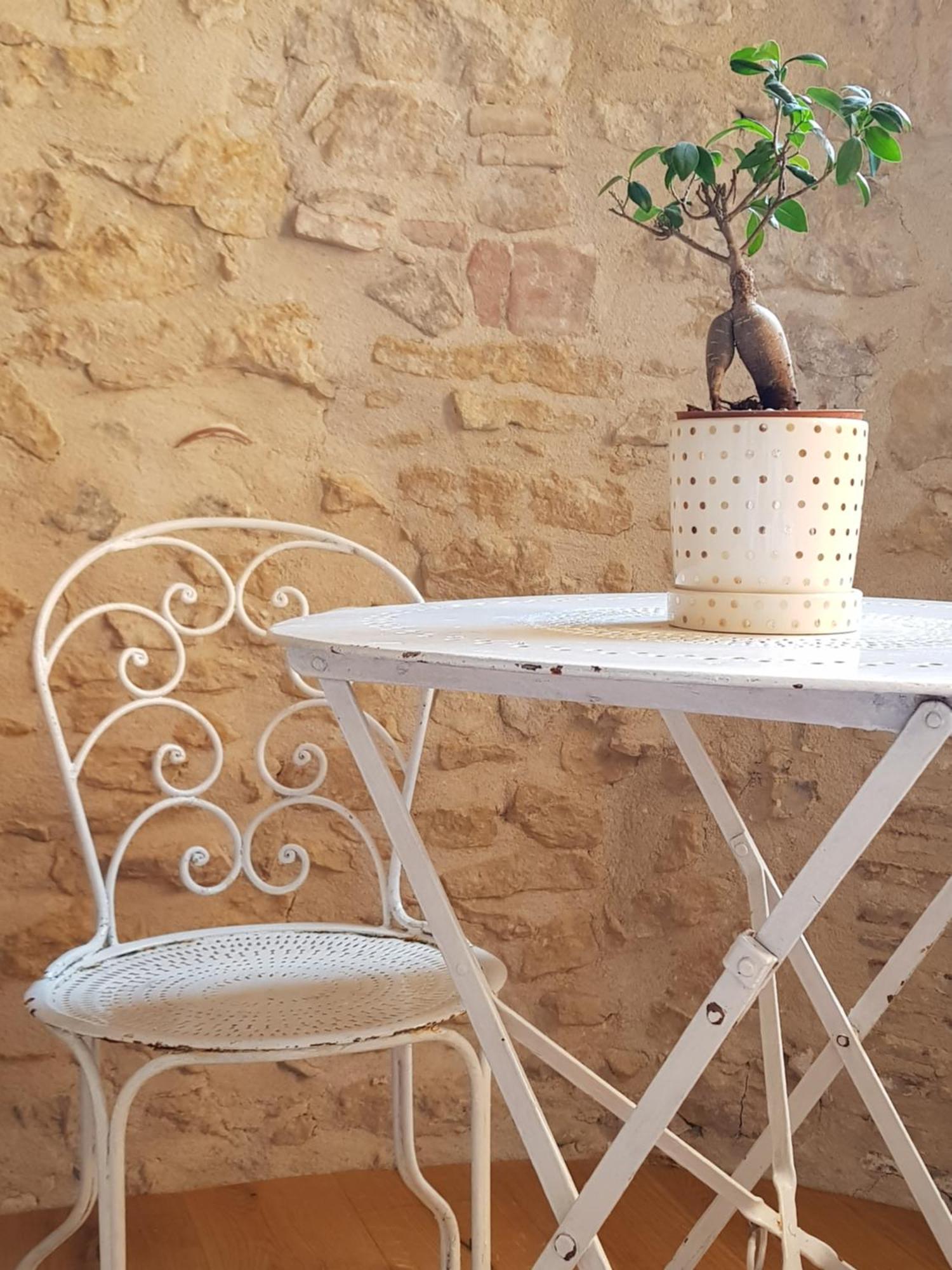 Le Jardin Suspendu Vieux-Lyon - Option Garage Apartment Cameră foto
